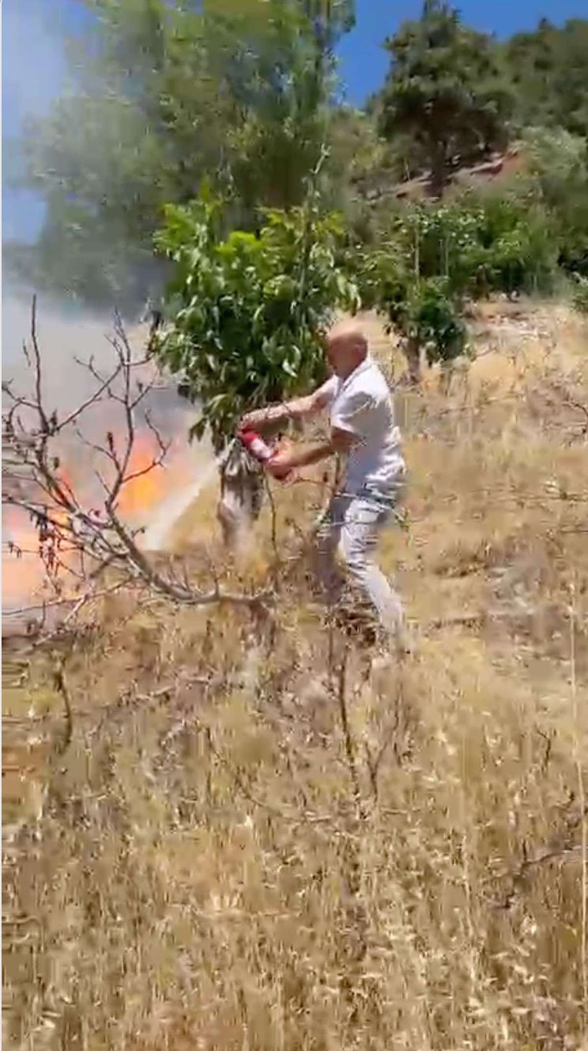 Alanya\'da Yangına Vatandaş Müdahalesi