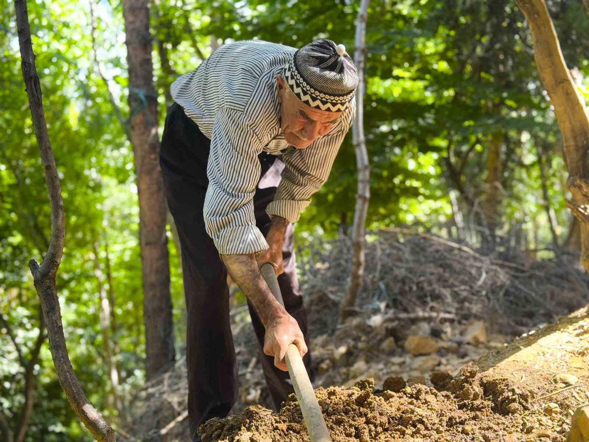 Şehmus Erginoğlu\'nun Ormanlaşma Başarısı