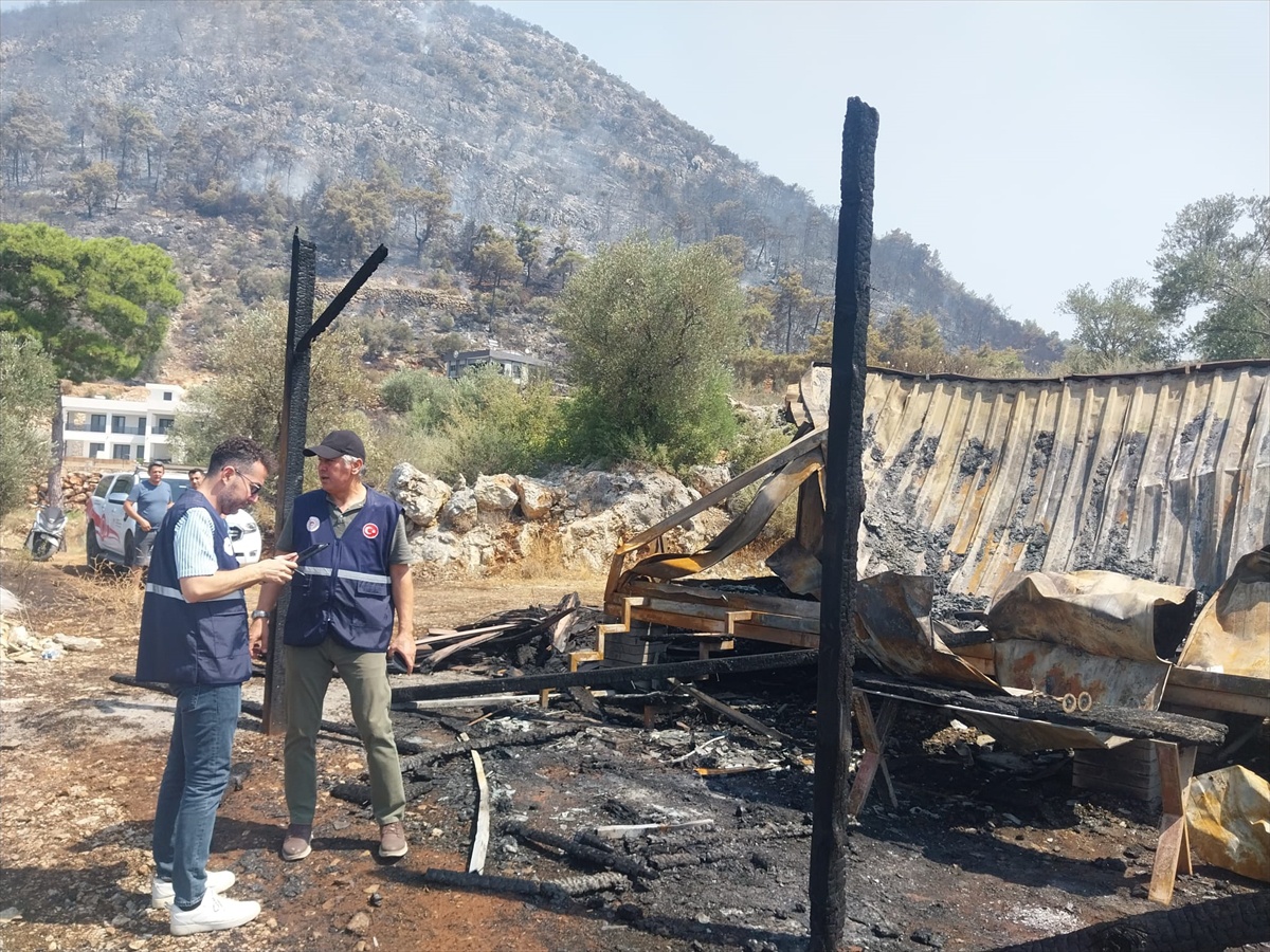 Yangınlar Kontrol Altında, Hasar Tespiti Başladı