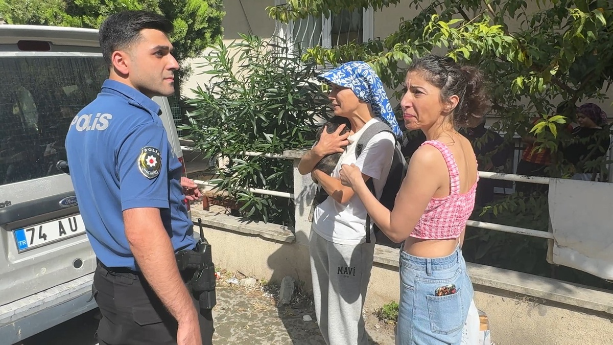 Bazı Kediler Yangında Hayatını Kaybetti