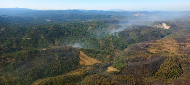 Balıkesir Gömeç'te 3 gündür süren yangını çıkaran 2 kişi tutuklandı