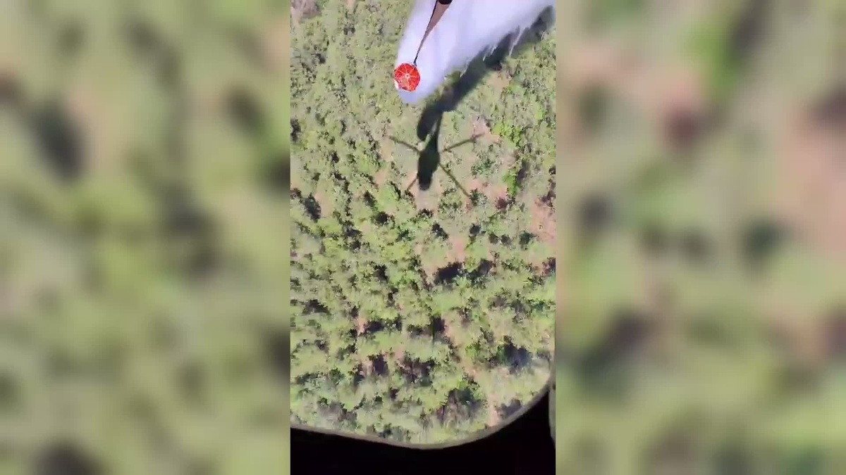Balıkesir\'de Orman Yangını Kontrol Altında