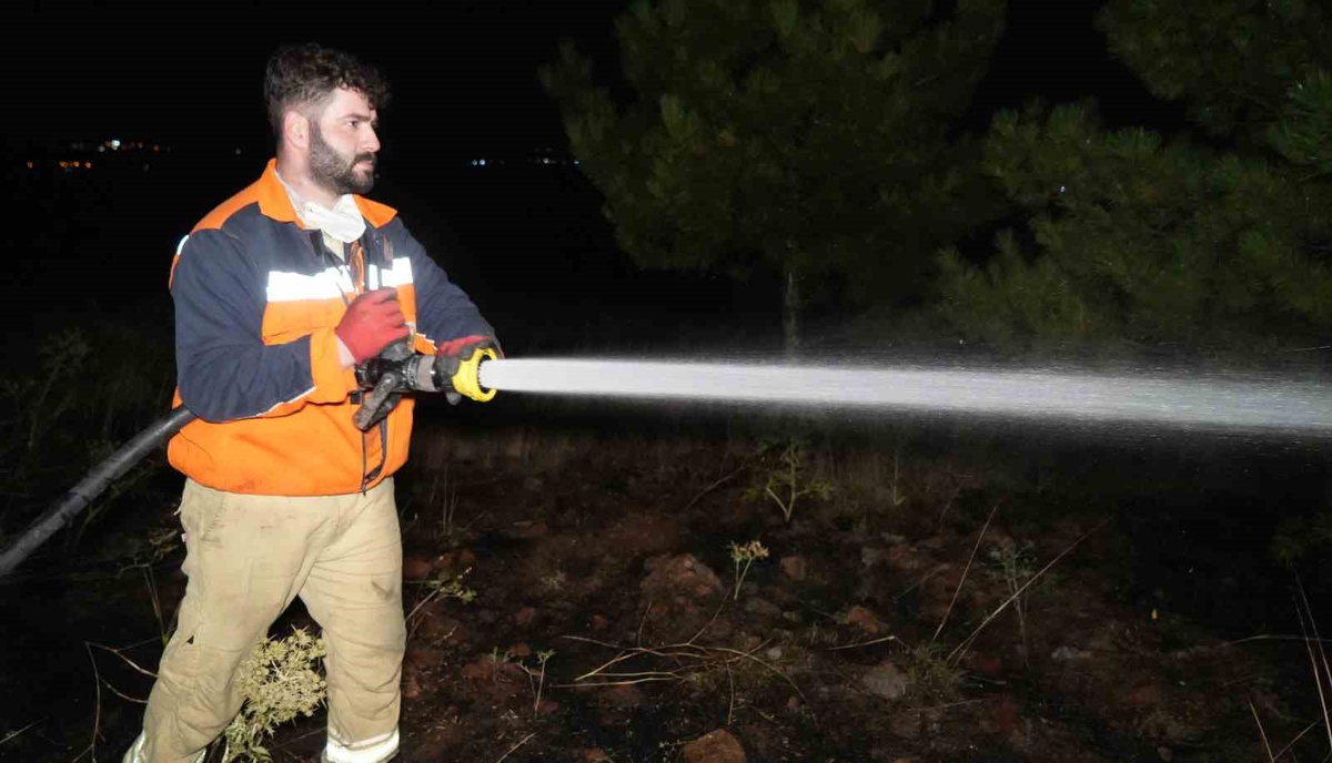 Kırıkkale\'de Orman Yangını Kontrol Altında
