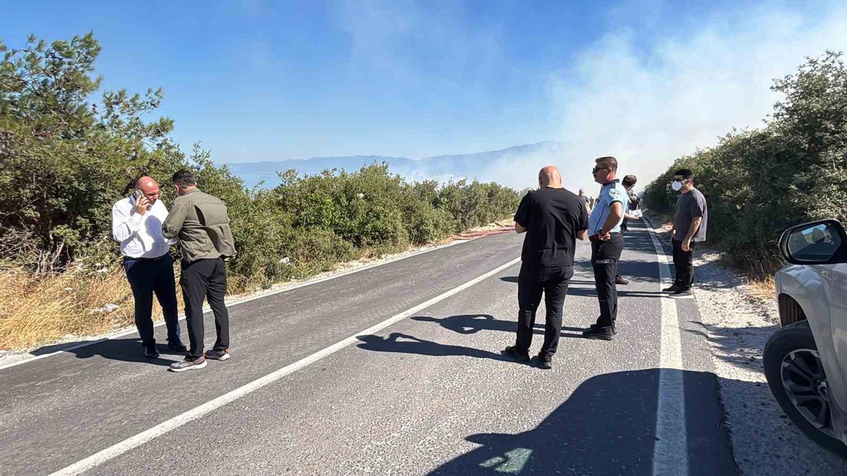 Bursa’da ormanlık alanda yangın çıktı