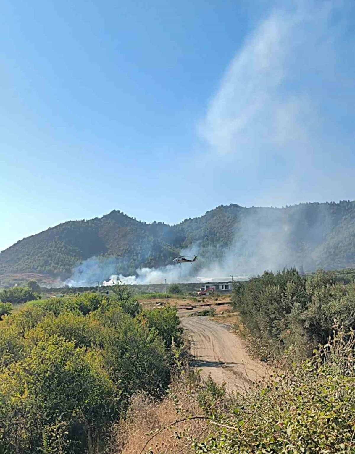 Dalaman\'da Tarım Arazisinde Yangın Kontrol Altına Alındı