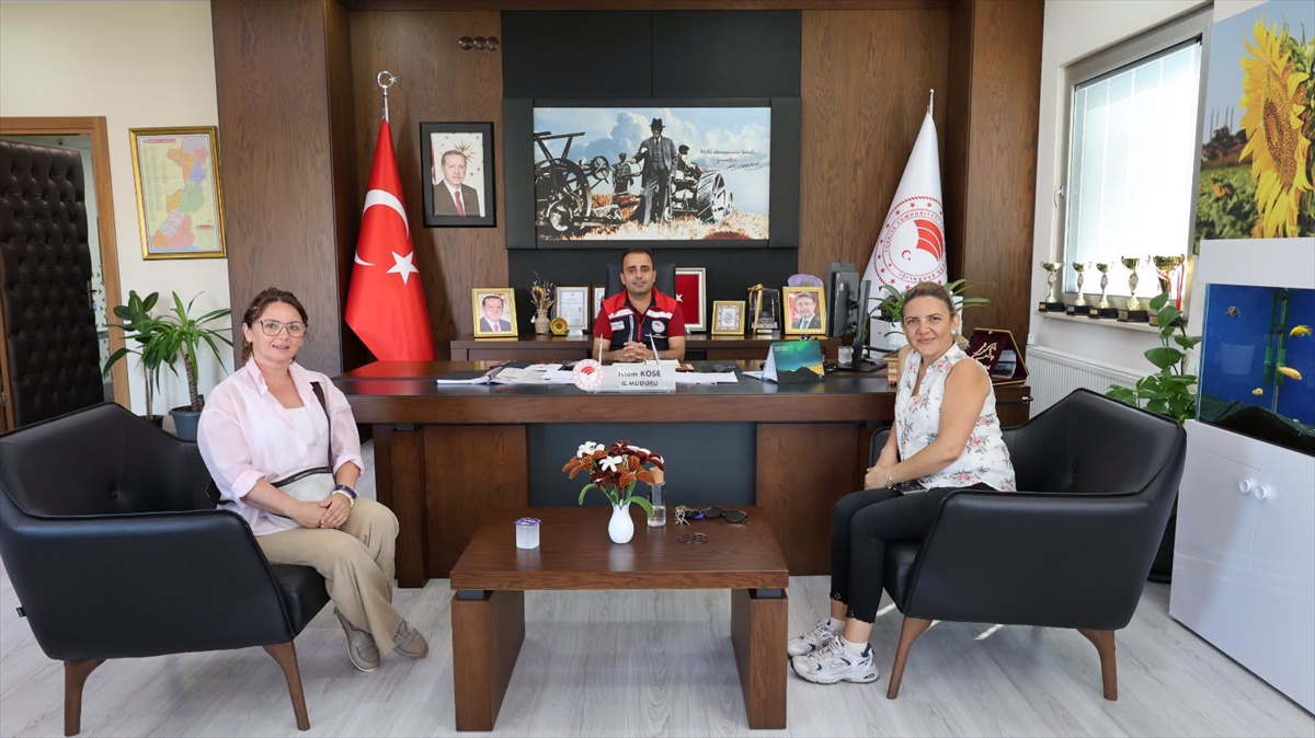 İpsala\'da Şeftali Hasadı Başladı