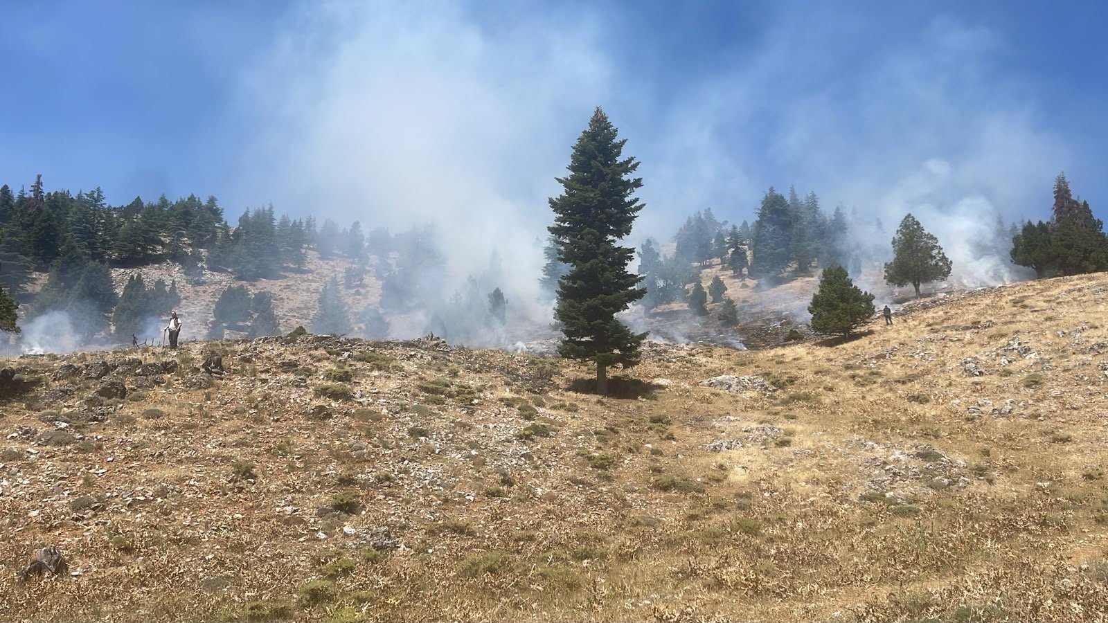 Kahramanmaraş'ta İki Orman Yangını