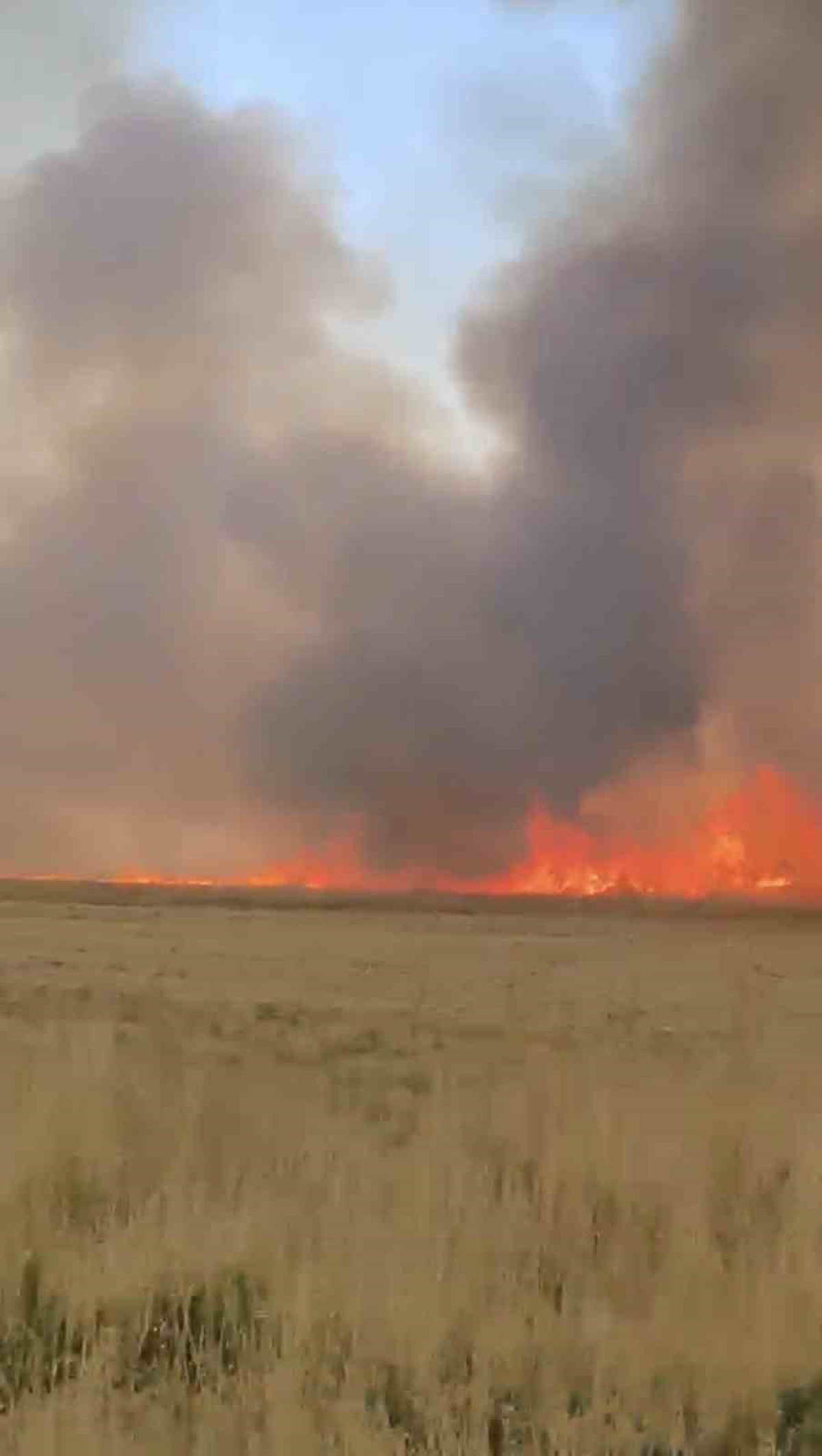 Nusaybin\'de Anız Yangını Tır Kazasına Sebep Oldu