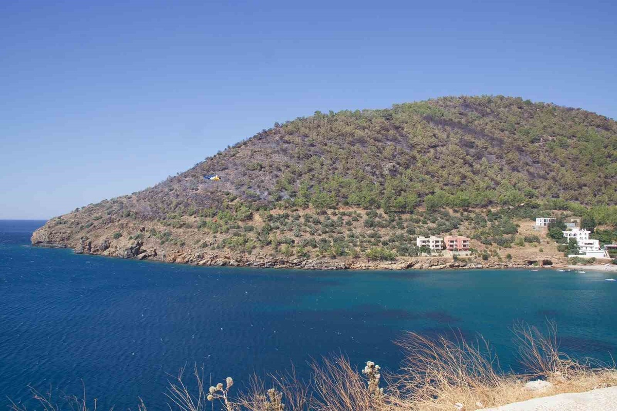Mersin\'de Orman Yangını Kontrol Altına Alındı