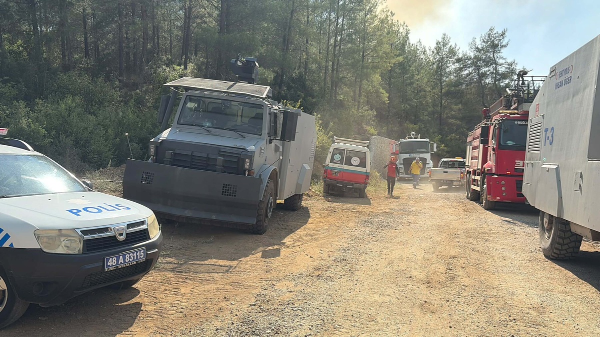 Fethiye\'de Orman Yangını Yeniden Alevlendi