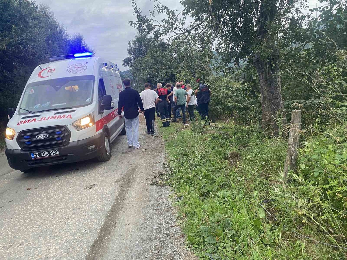 Ünye\'de Trafik Kazası: 2 Yaralı
