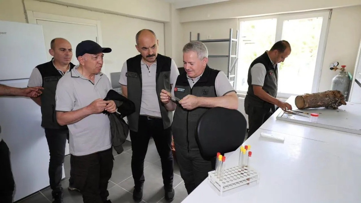 Orman Zararlılarıyla Mücadele İçin Sinop\'ta Ziyaret