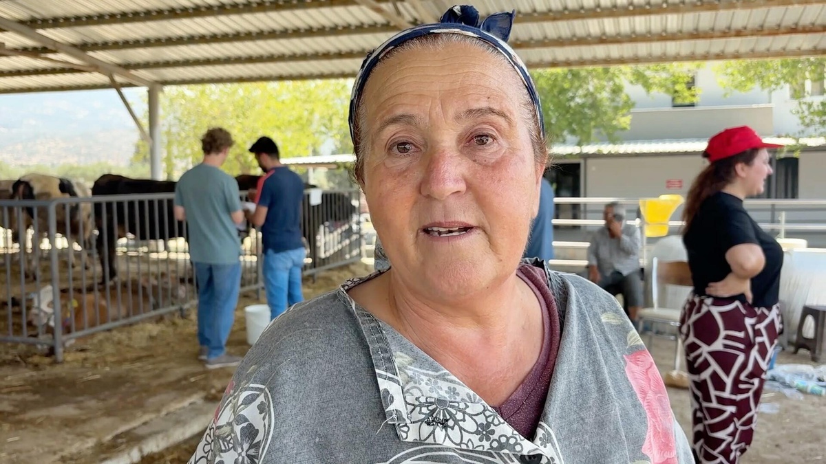 Yangın Tahliye Hayvanları Sahiplerine İade Edildi