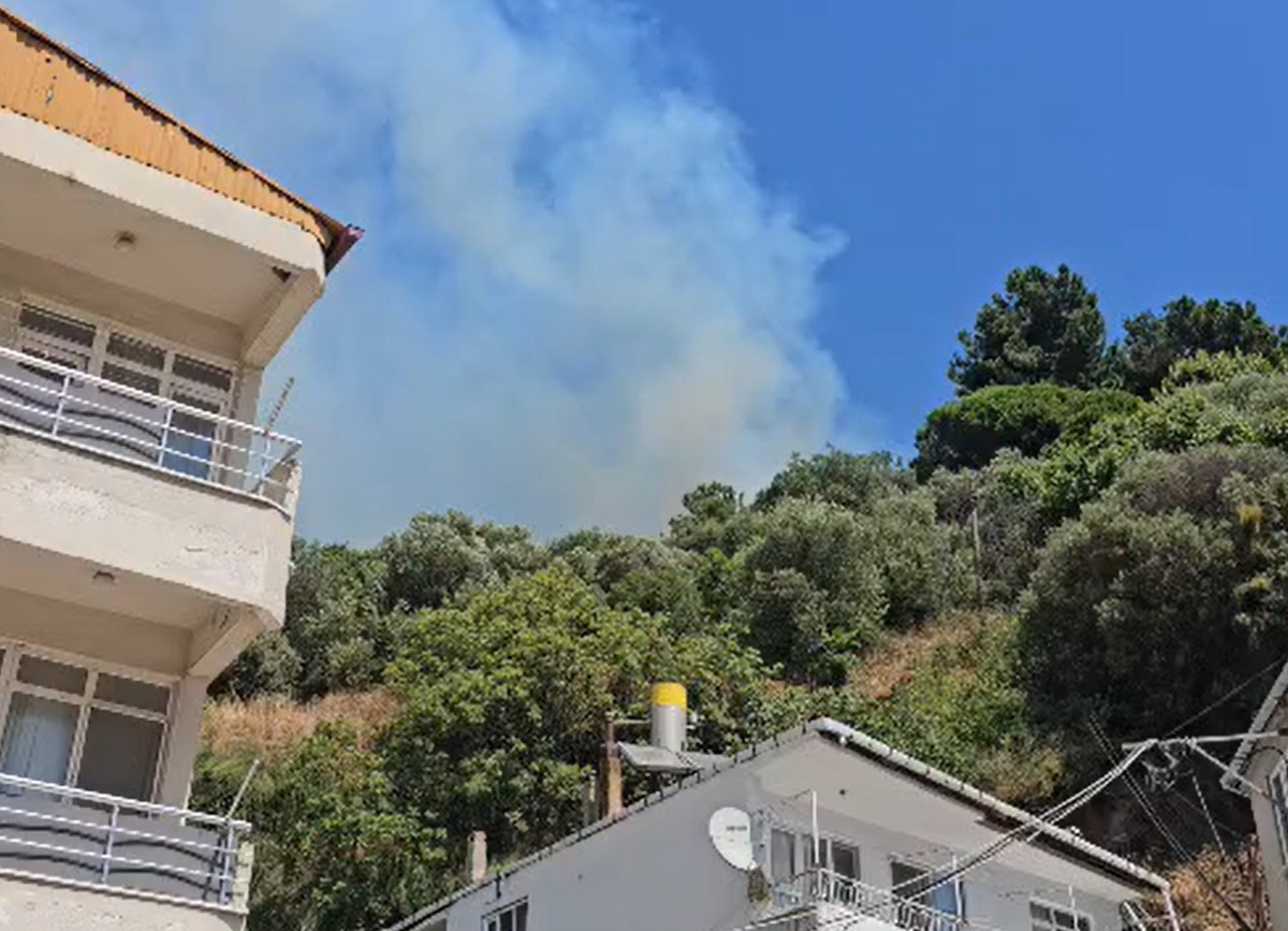 Marmara Adası\'nda Orman Yangını