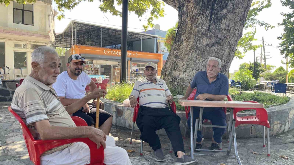 Osmaniye\'nin Doğal Kliması: 260 Yıllık Çınar