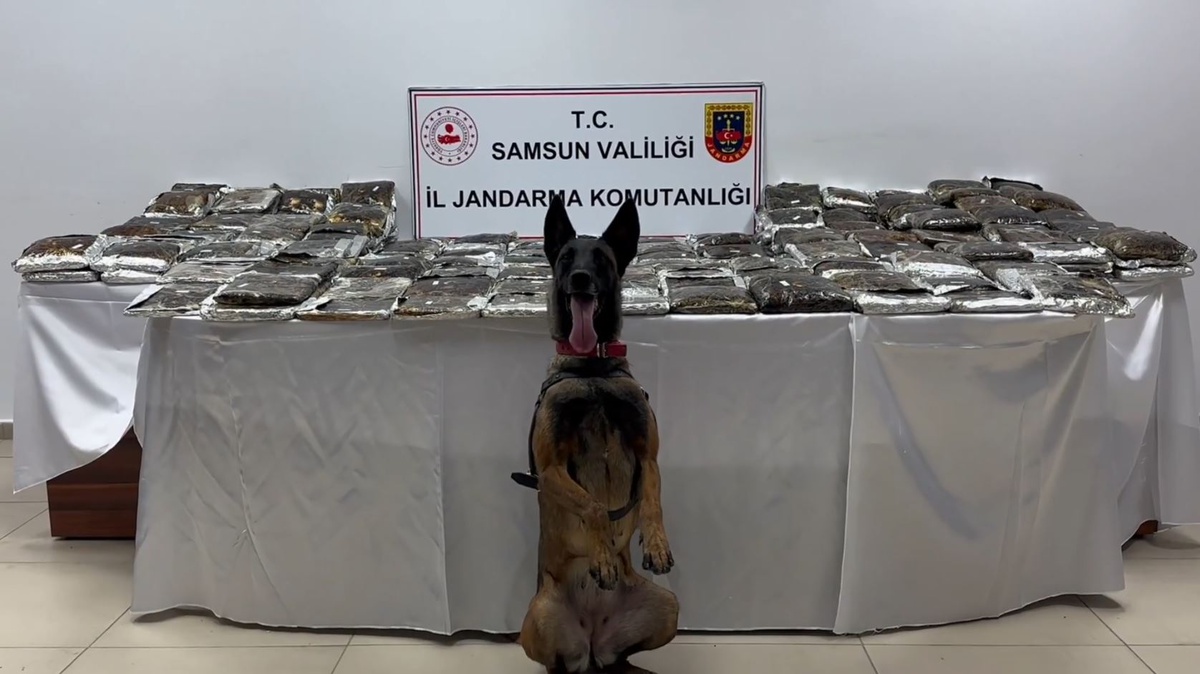 Samsun\'da 132 kg Esrar Ele Geçirildi