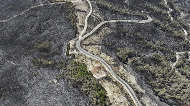 Muğla'daki Orman Yangını Hava Görüntüsüyle İfadeler