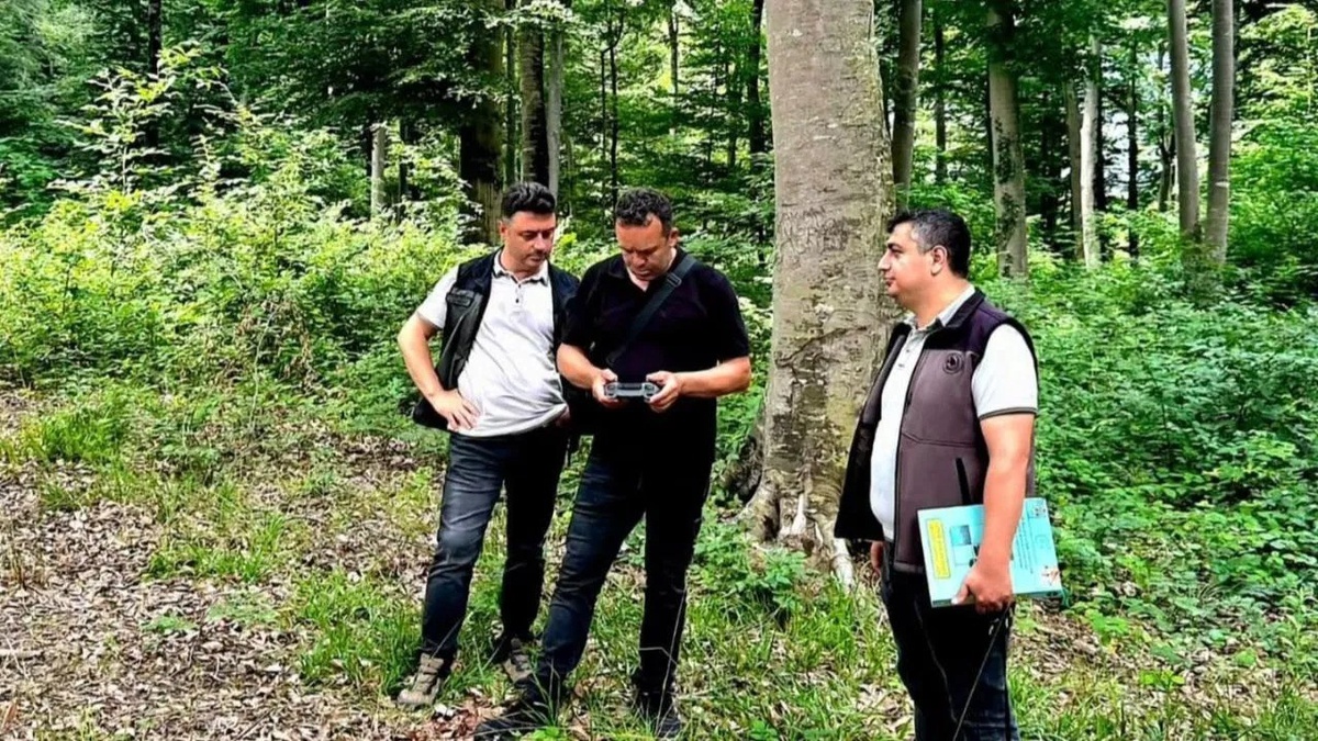 Sinop\'ta Doğal Gençleştirme Çalışmaları