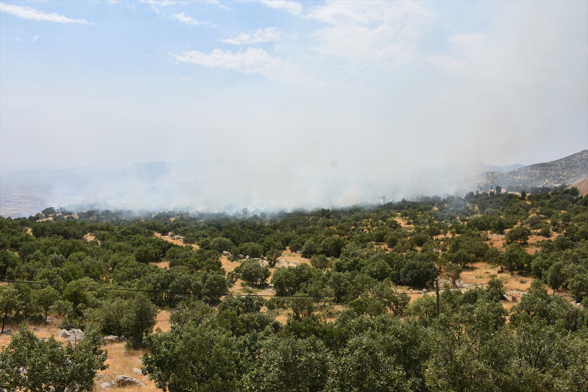 Şırnak\'ta Yangın Ormana Sıçradı
