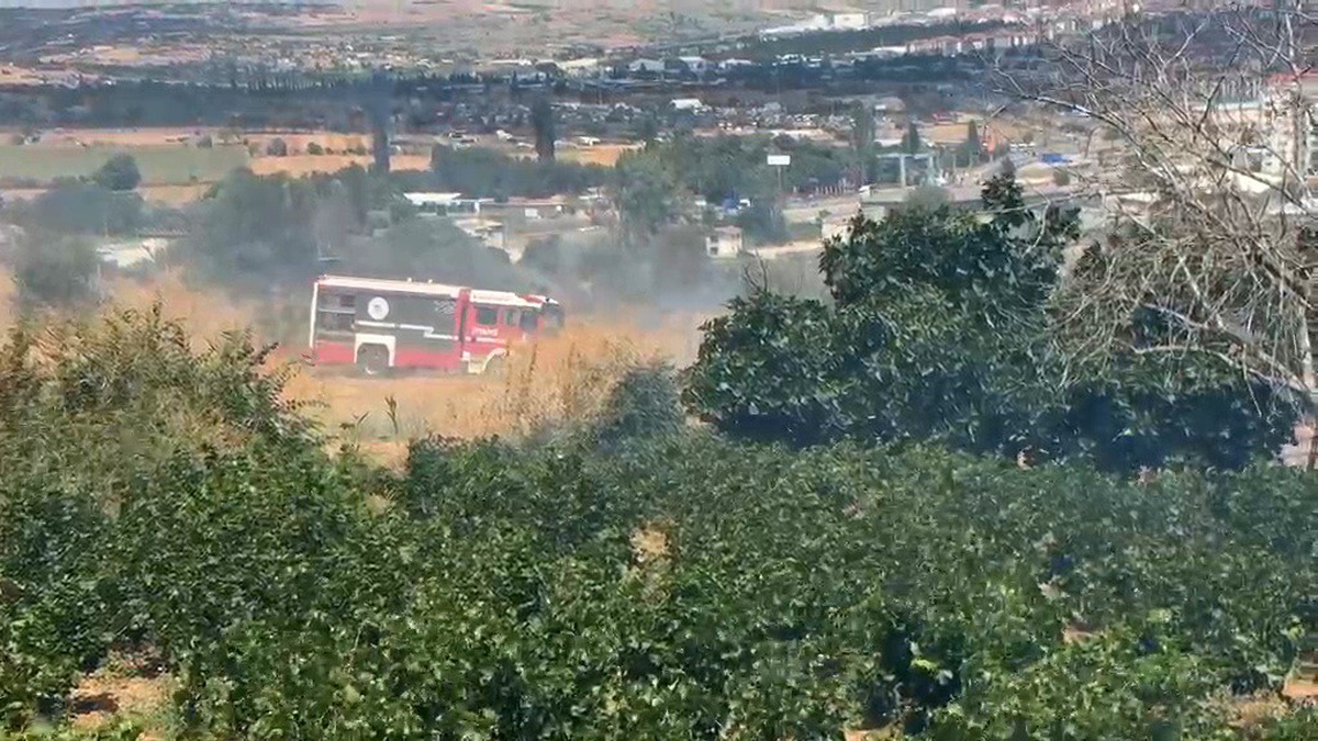 Tekirdağ\'da Anız Yangını Kontrol Altına Alındı