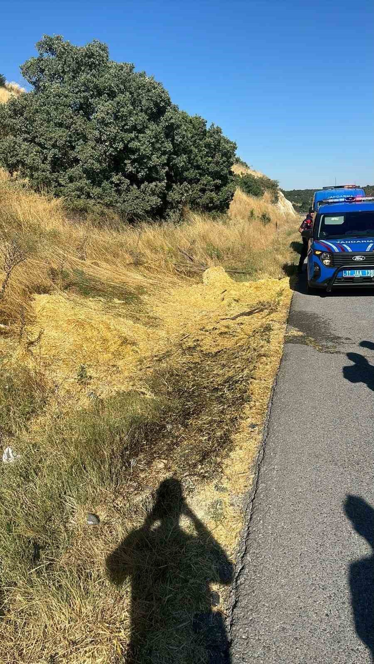 Bilecik\'te Sigara İzmariti Yangına Yol Açtı