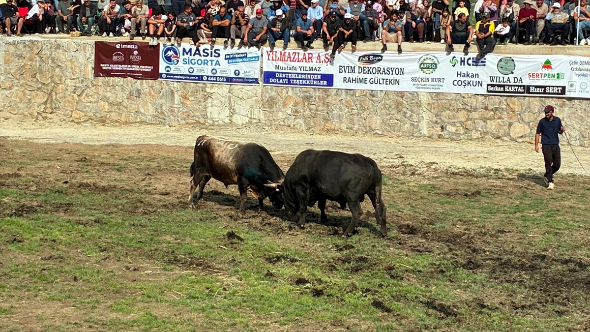 Salikvan Yayla Festivali Yapıldı