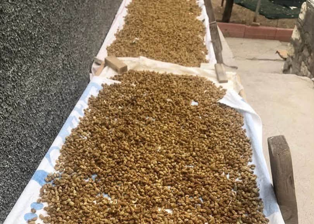 85 Yaşında Geleneksel Dut Pekmezi Üretiyorlar