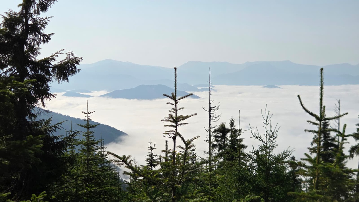 Artvin\'de Dronla Görüntülenen Sis Manzarası