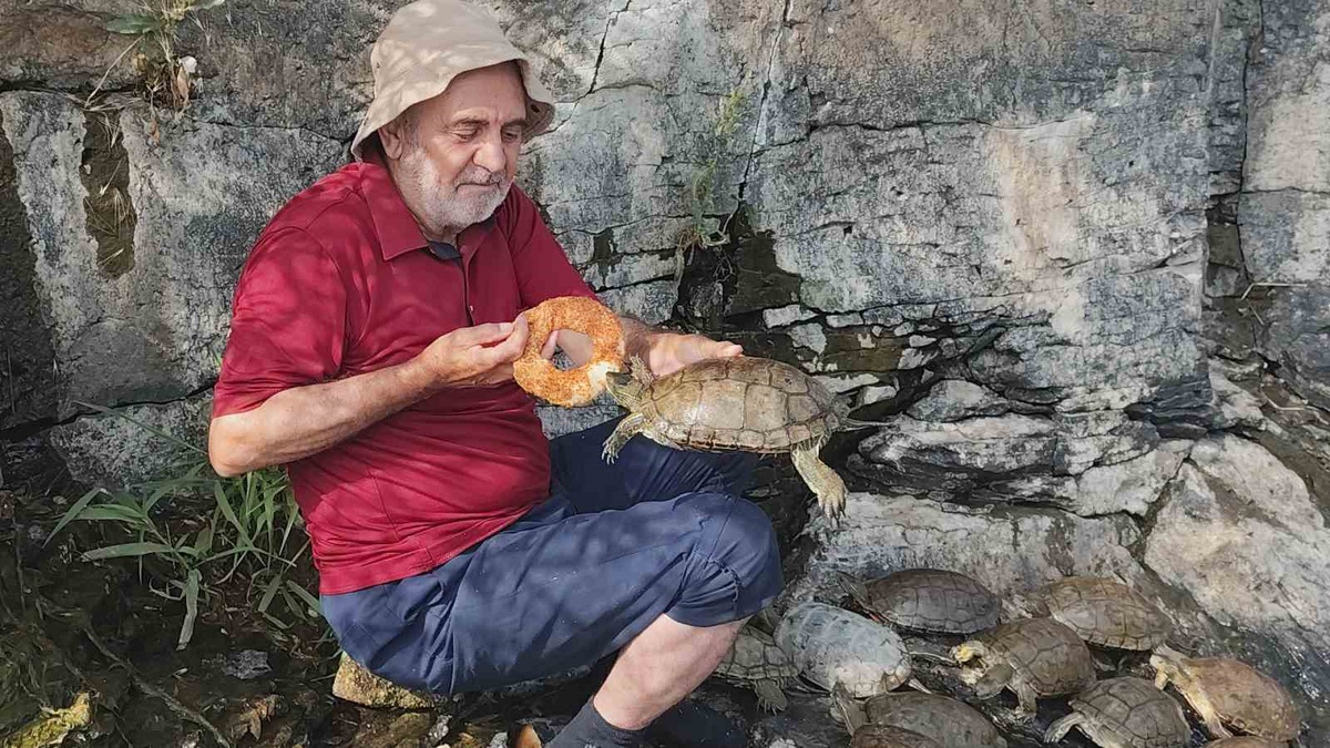 Kaplumbağalara Bayat Ekmekle Şefkat