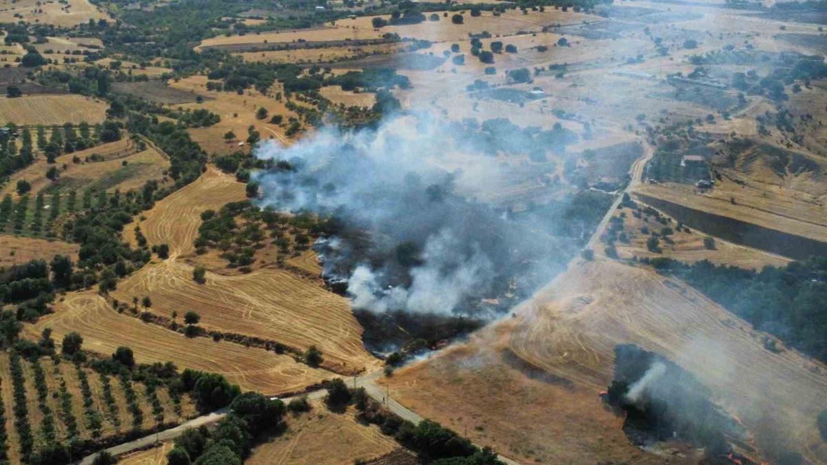 Elazığ\'da Anız Yangını Sürüyor