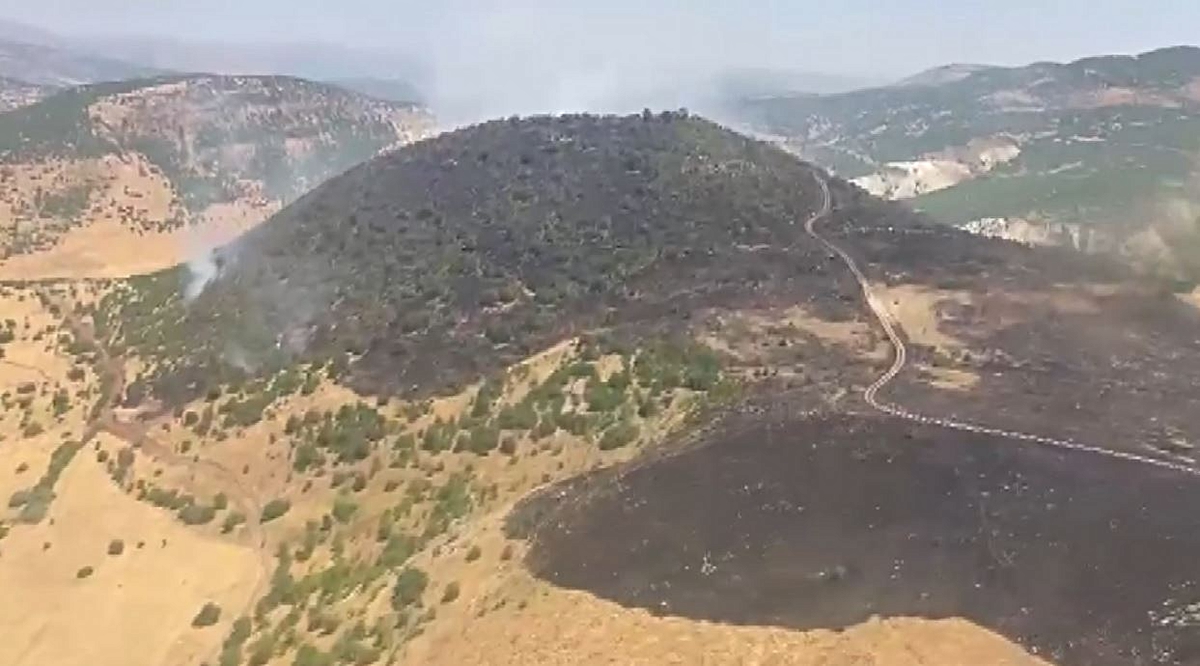 Elazığ\'da Orman Yangını Kontrol Altına Alındı