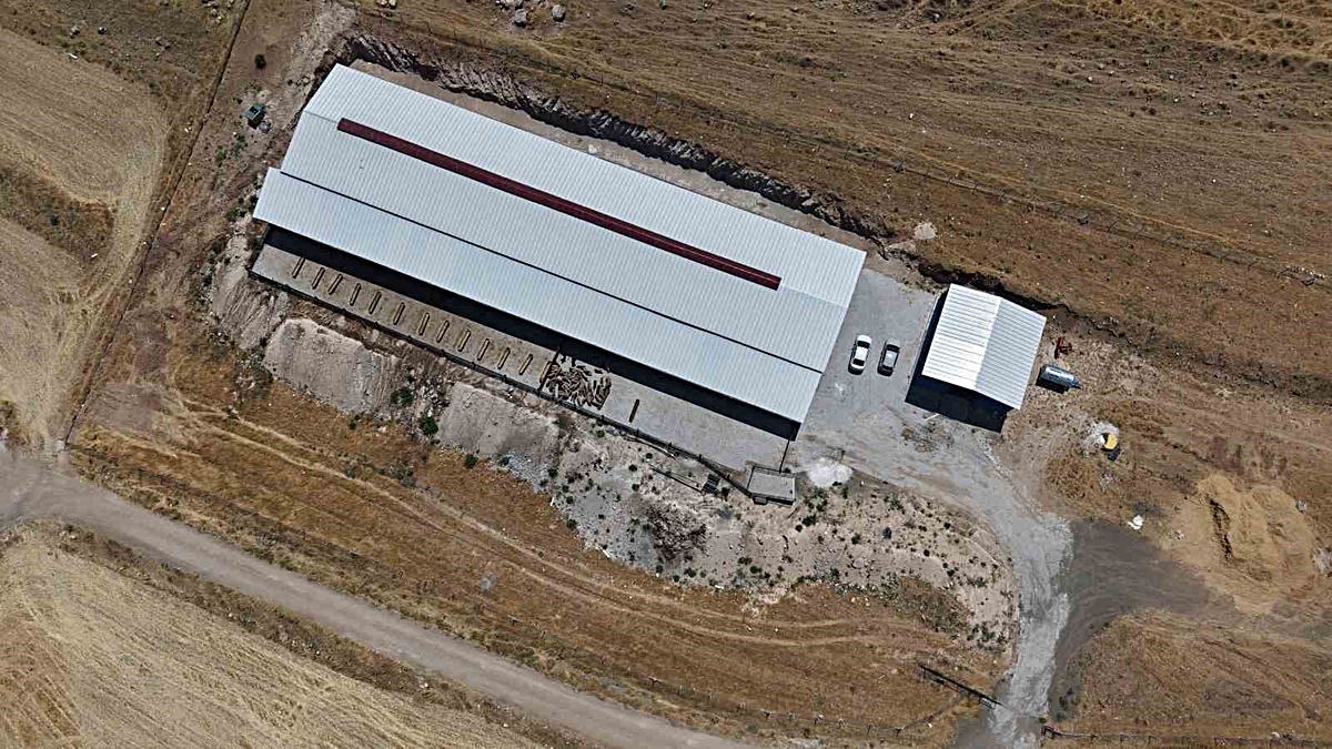 Kadın Girişimci: Nurcan Fıratoğlu\'nun İlham Veren Hikayesi