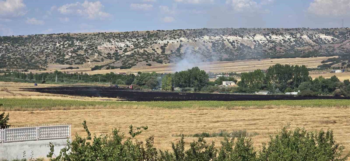 Eskişehir\'de Anız Yangını Kontrol Altına Alındı