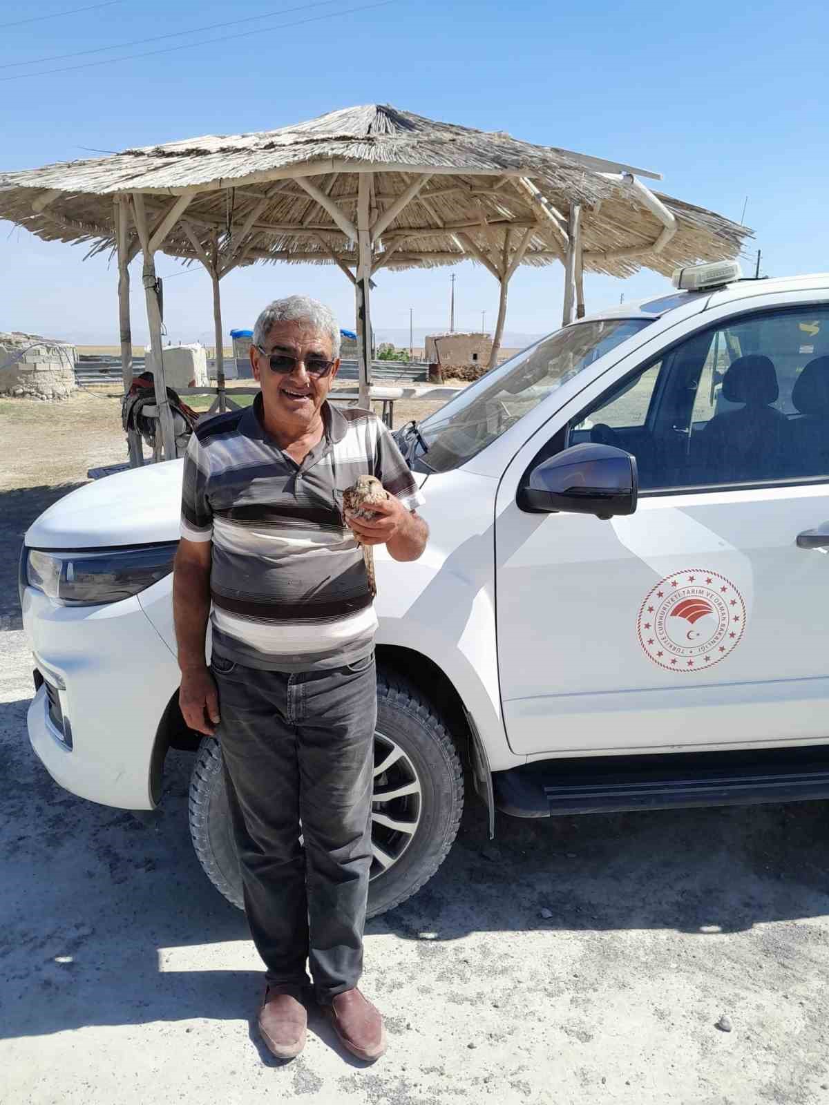 Kızıl Şahin Çiftçinin Dikkatiyle Kurtarıldı