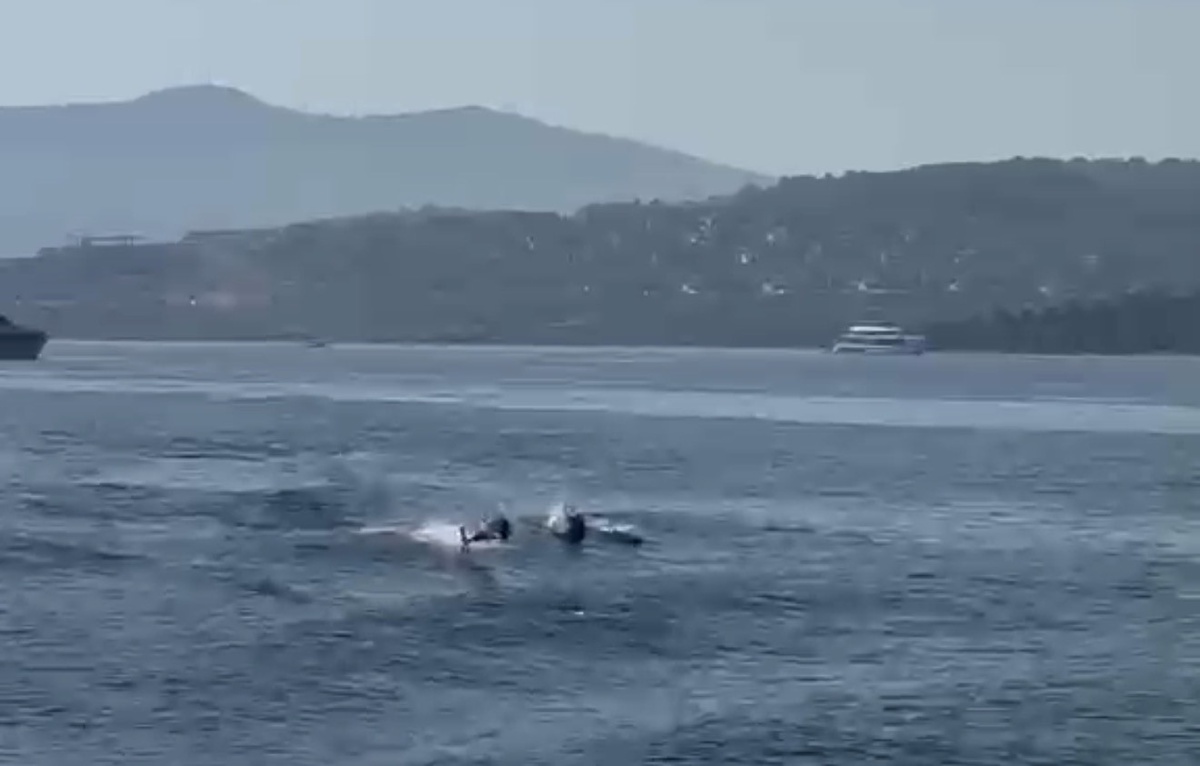 Bodrum\'da Yunus Şöleni