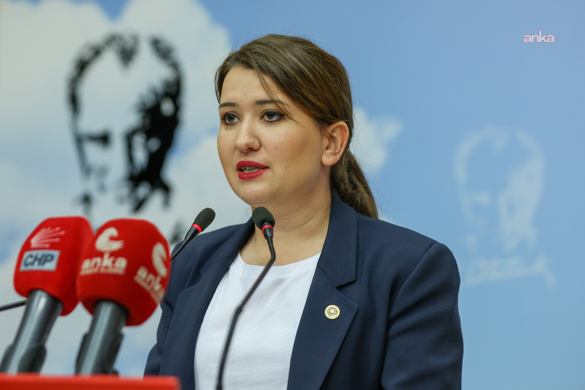 TBMM\'de Cinsel Saldırı Davası Tartışması