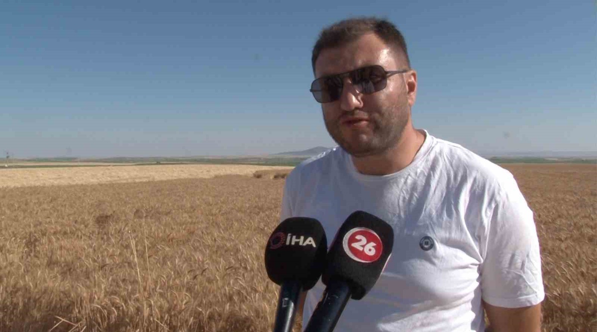 Mühendis, Tarıma Dönüş Yaptı