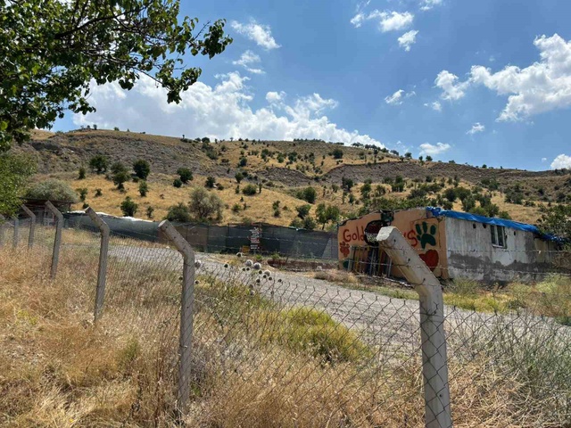 Bu nasıl kardeş! Ablasını öldürmüş, hem de bakın ne için