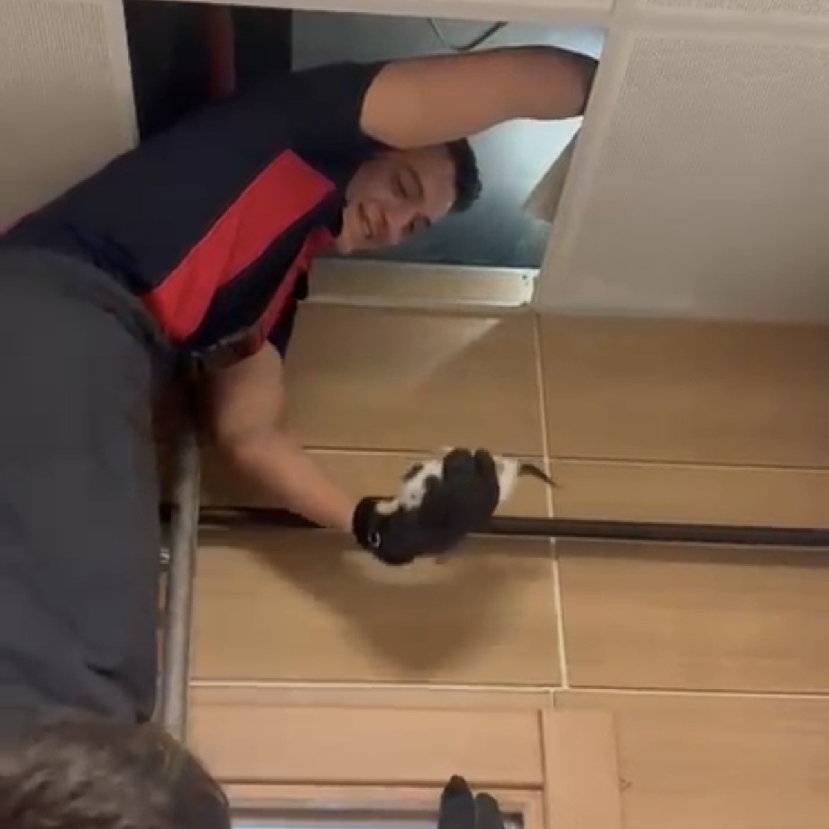 Çankırı\'da Yavru Kedi Kurtarıldı