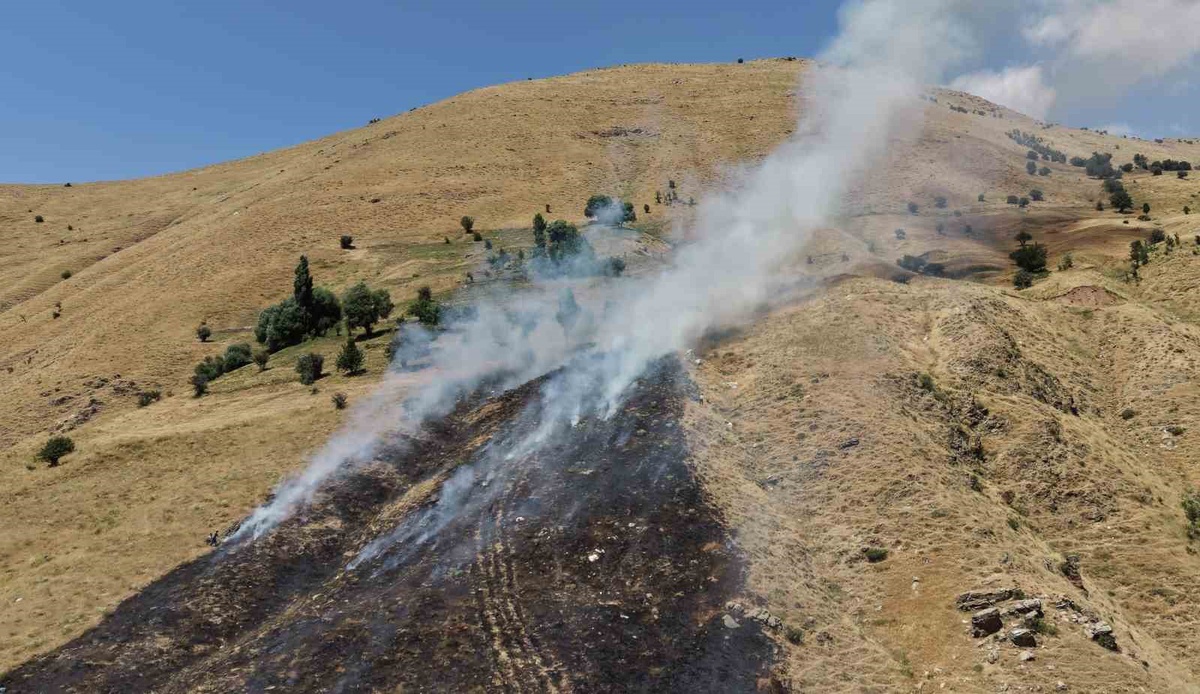 Bitlis\'te Örtü Yangını Kontrol Altına Alındı