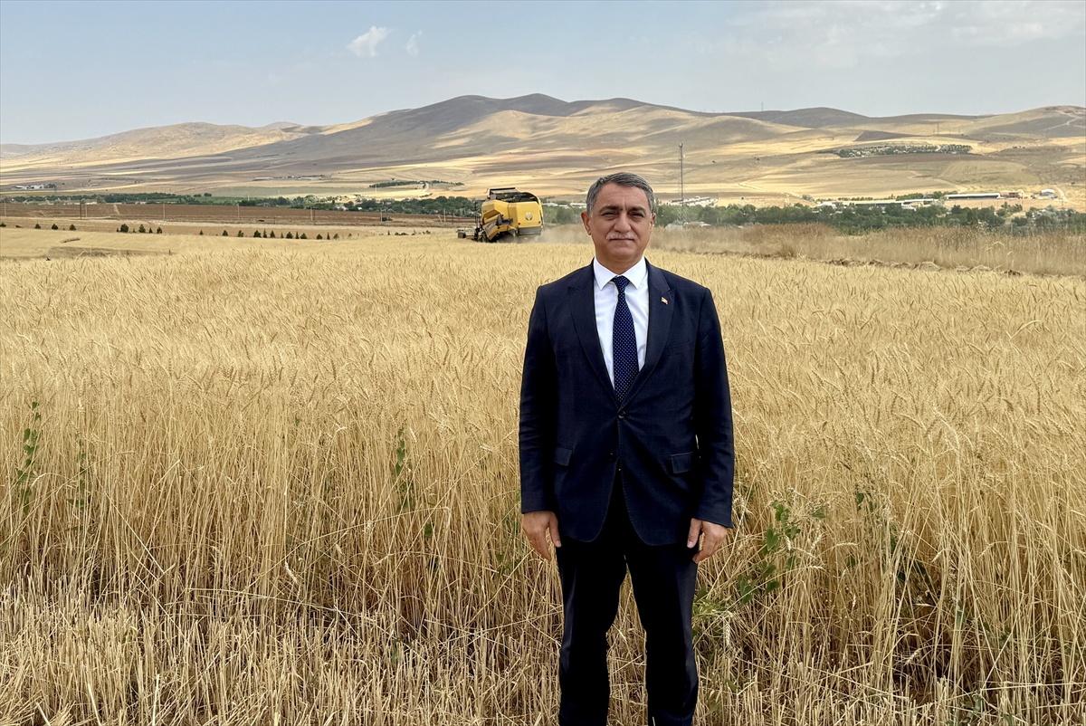 Kırşehir\'de Tarımda Verim Artışı