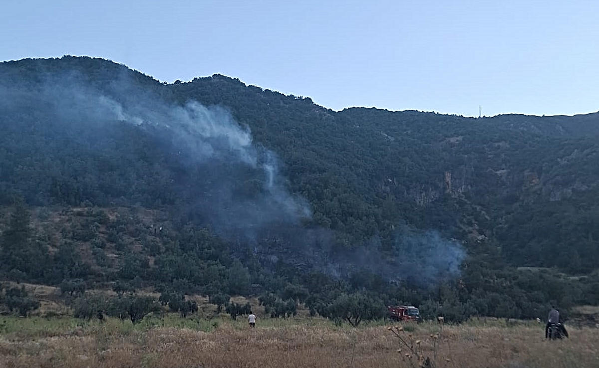Gaziantep\'te Orman Yangını Kontrol Altına Alındı