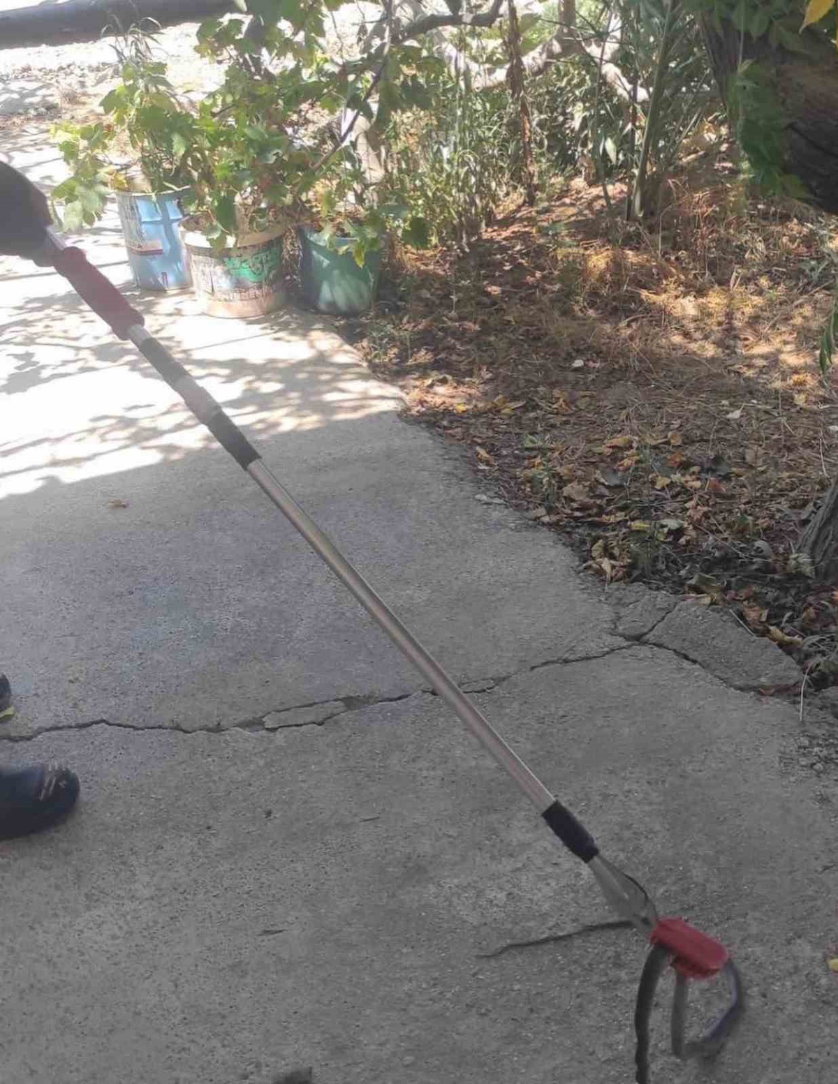 Hatay\'da Yılanlar Yakalanıp Doğaya Bırakıldı