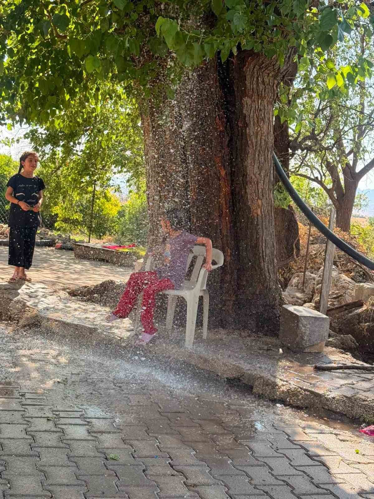 Sıcaklardan Kaçış: Ağaçtan Sarkan Hortum