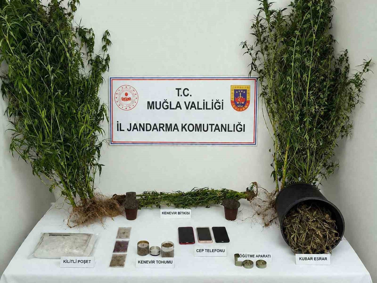 Muğla\'da Uyuşturucu Operasyonları