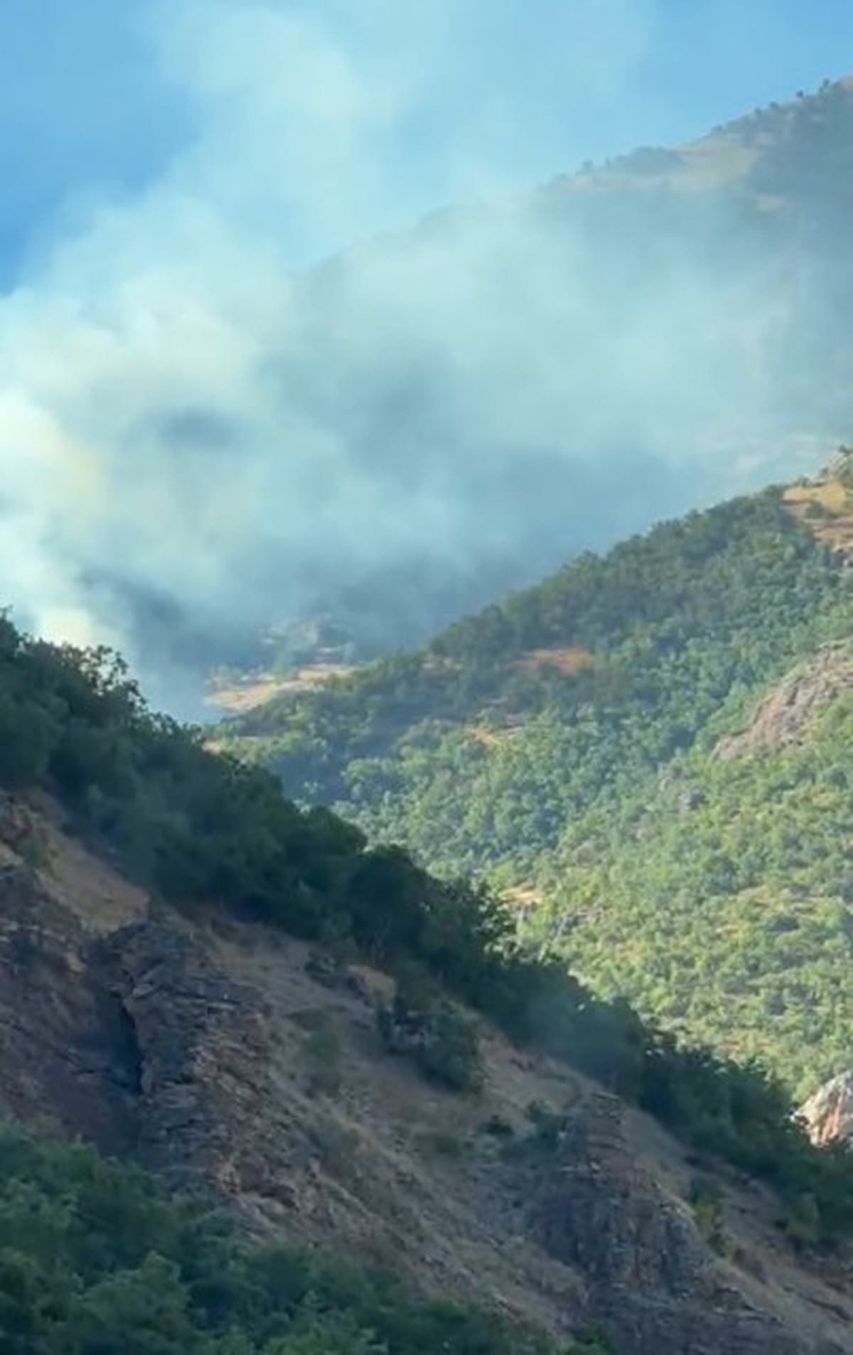 Tunceli\'de Orman Yangınına Müdahale