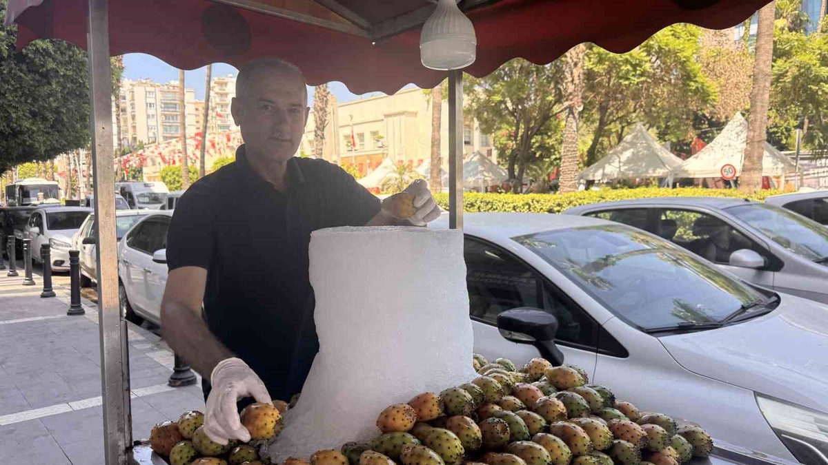 Sıcaklarda Dikenli İncirle Serinleme Yöntemi
