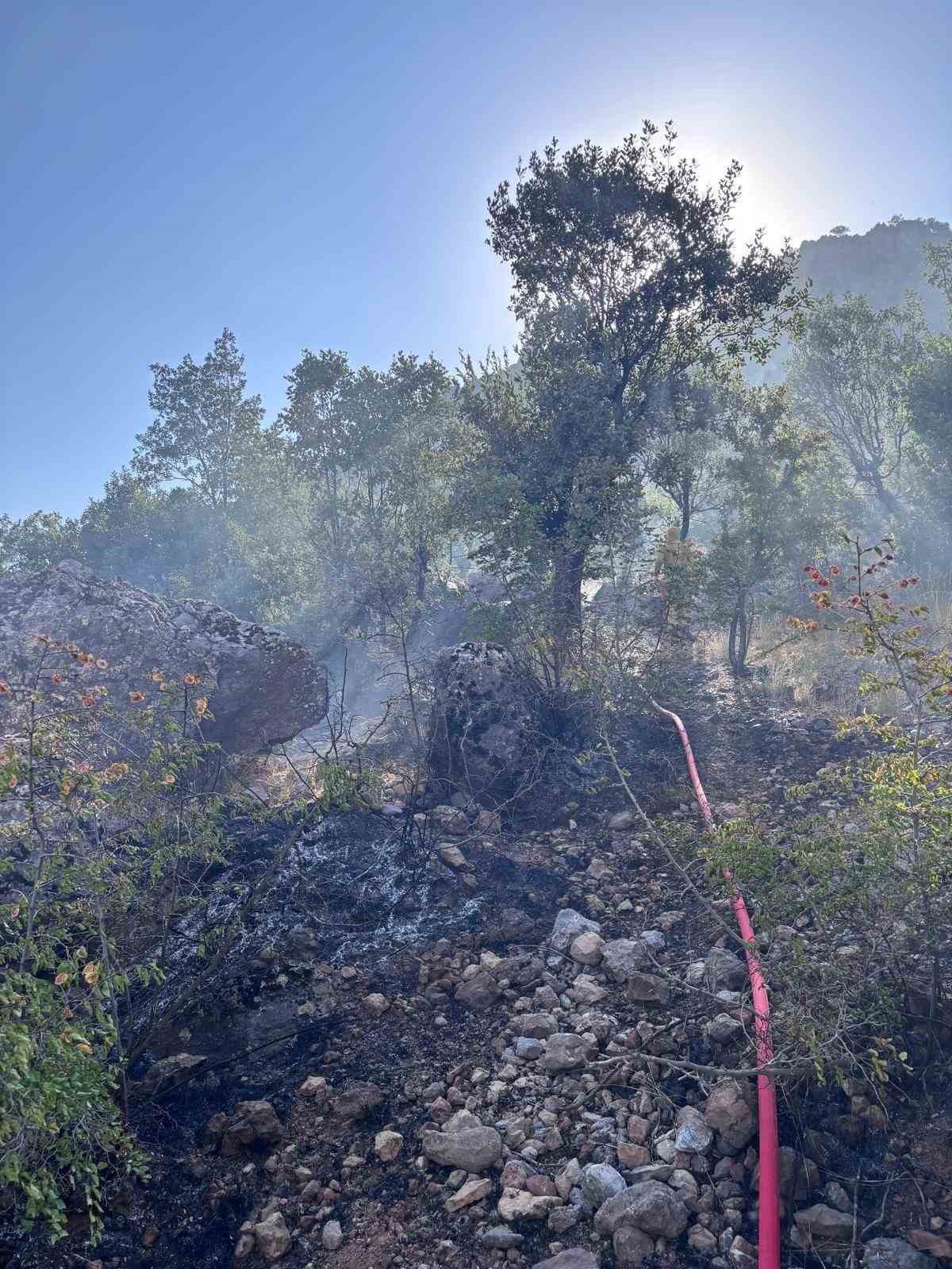 Siirt\'te Orman Yangını Kontrol Altına Alındı