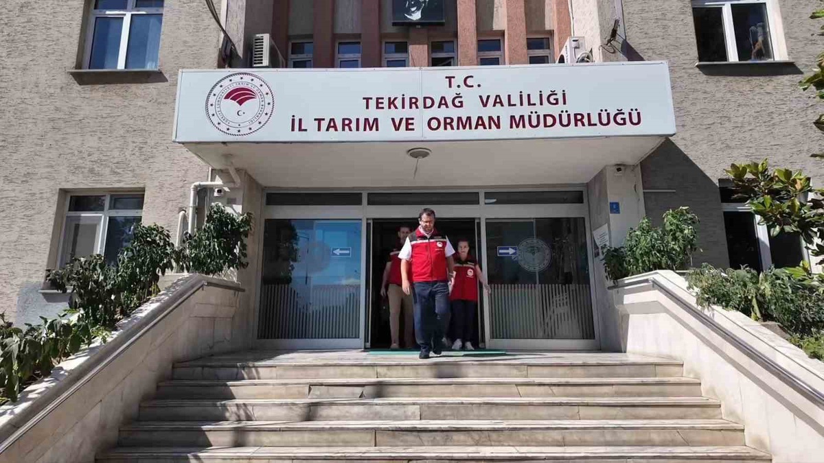 Tekirdağ\'da Gıda Denetimleri Devam Ediyor