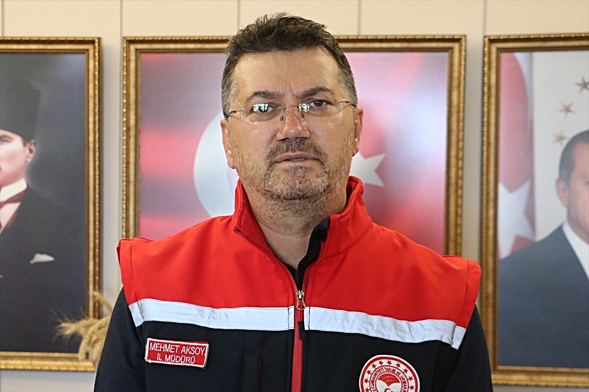 Trakya\'da Buğday Hasadı Başarıyla Tamamlandı